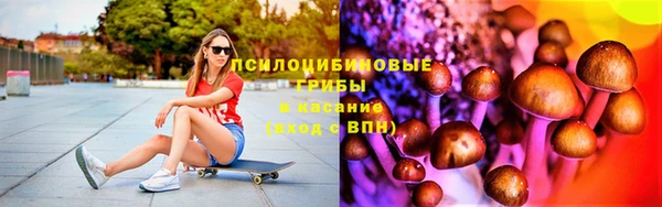 шишки Михайловка