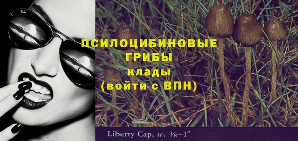 стафф Надым
