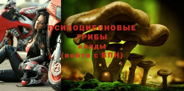 стафф Надым