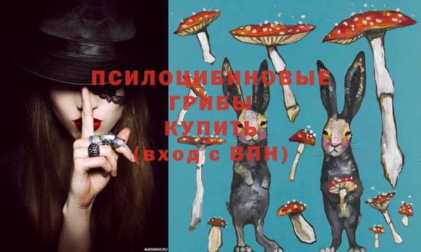 гидропоника Михайловск