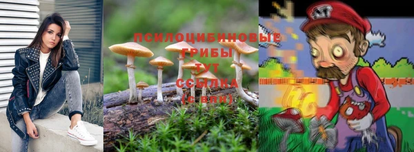гидропоника Михайловск