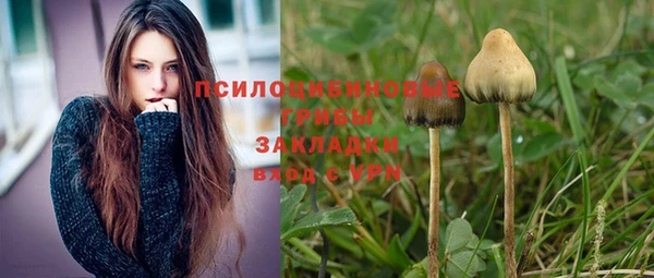 мет Михайлов