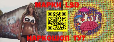 крисы Беслан