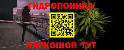 крисы Беслан