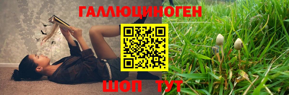 Галлюциногенные грибы MAGIC MUSHROOMS  Волгоград  Галлюциногенные грибы ЛСД 