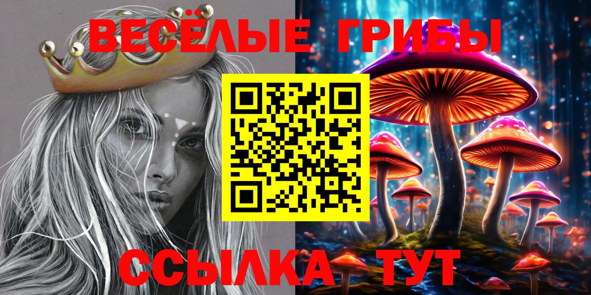 Волгоград  что такое наркотик  Вход с VPN  Галлюциногенные грибы прущие грибы 