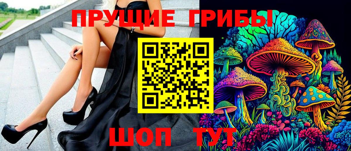 Псилоцибиновые грибы Psilocybe Волгоград