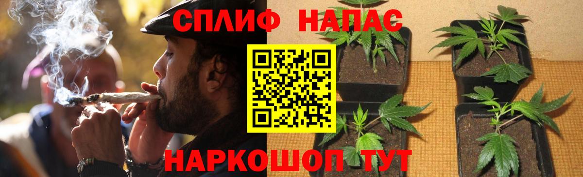 Конопля MAZAR Волгоград